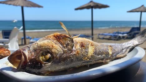 grilled sea bass on a plate at the beach, traditional spanish food in a restaurant with a beautiful sea view, sunny day in marbella spain, 4k static shot