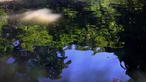 The-beautiful-view-in-Rikugien-Gardens