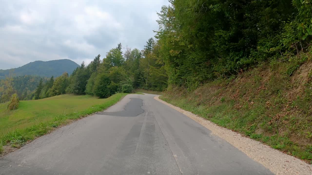 Auto in guida su strada lungo il bosco
