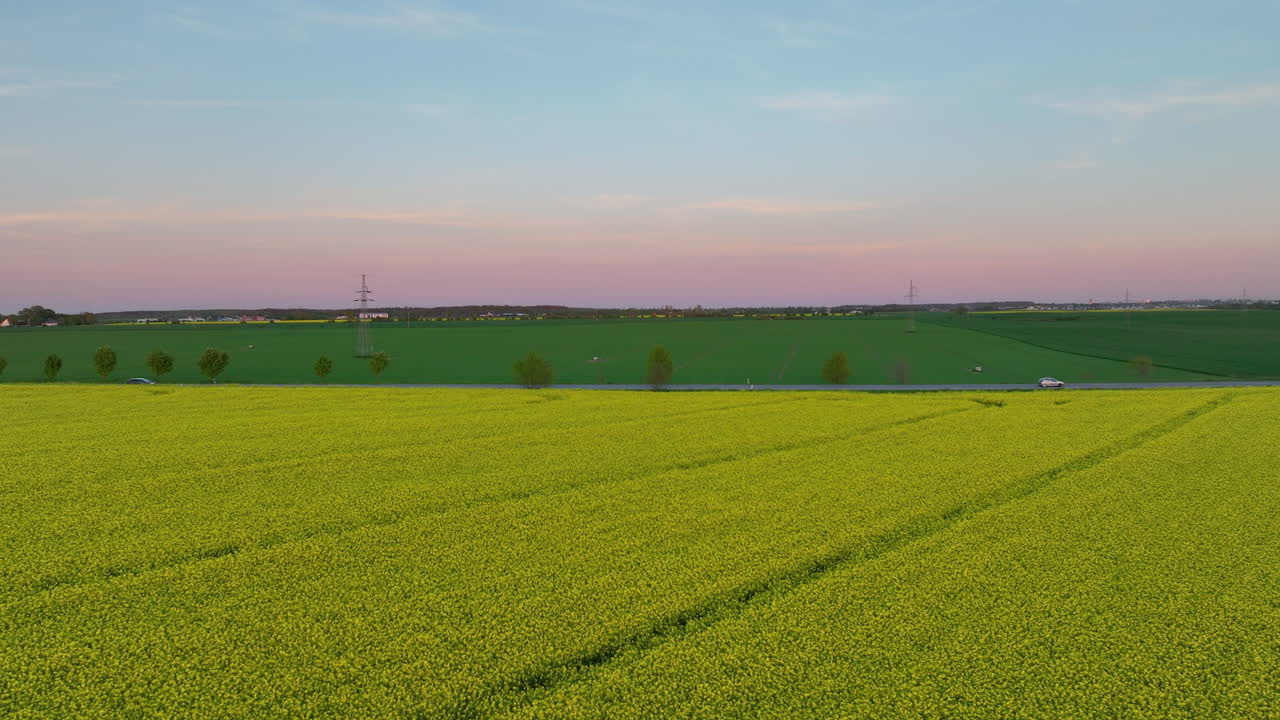 Aerial View Of Rapeseed Fields With Vibrant Skies In Puck, Poland