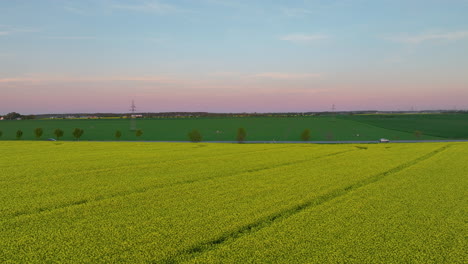 Vista-Aérea-De-Campos-De-Colza-Con-Cielos-Vibrantes-En-Puck,-Polonia