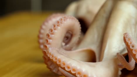 shot of a boiled octopus rotating on a wooden service