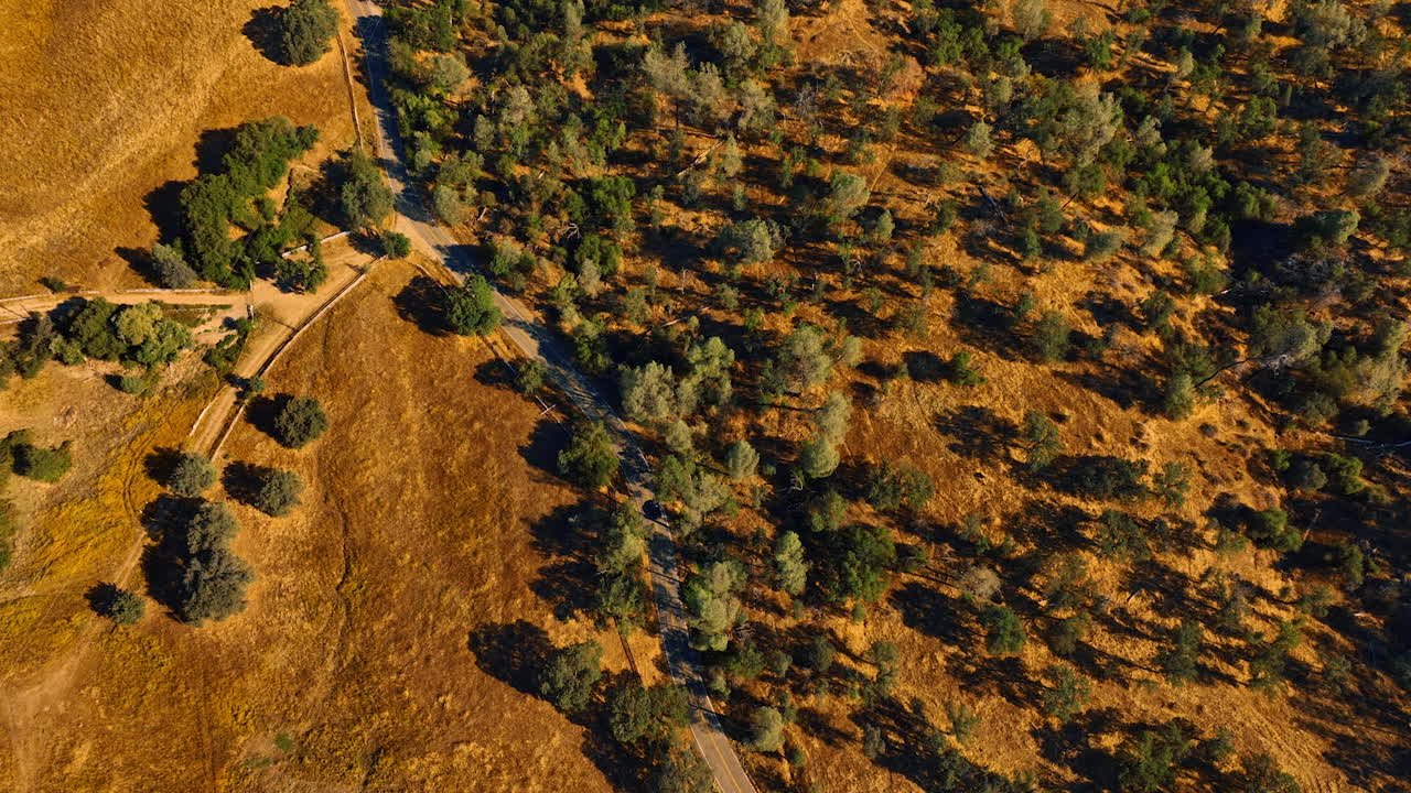 Aerial View of a Country Road through a Rural Landscape