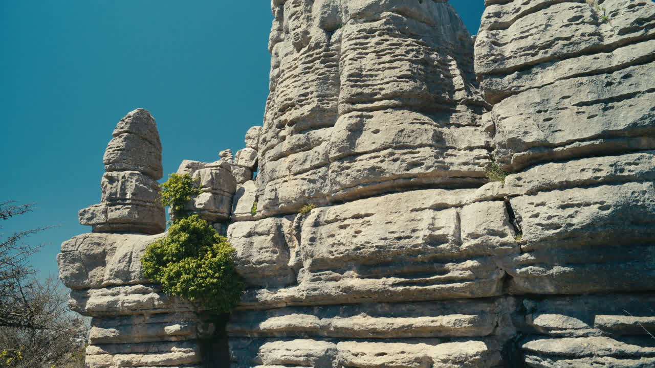 Vista dettagliata di formazioni calcaree stratificate con vegetazione verde a El Torcal de Antequera, Spagna, che evidenzia la geologia carsica testurizzata, il contrasto naturale e il terreno accidentato alla luce del sole