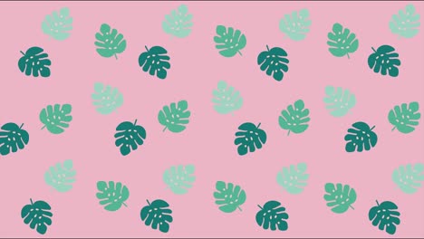 animación de diseño de movimiento mínimo. hojas tropicales se mueven y se mueven en el fondo de color. gráficos abstractos en colores y estilo de moda. animación de bucle sin costuras