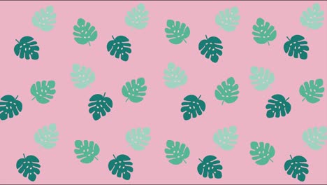 minimal motion design animation. tropical leaves move and wiggle at color background. abstract graphics in trendy colors and style. seamless looping animation