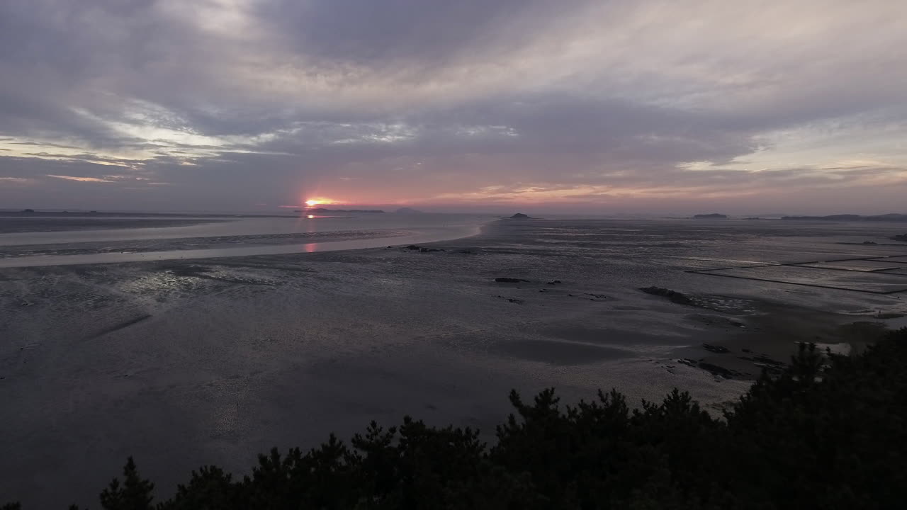 Low tide in the sea View of the sea, drones, sea over the trees, left pan shot