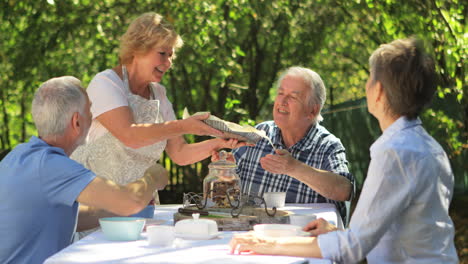 Parejas-Mayores-Desayunando-En-El-Jardín