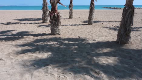 las sombras de las palmeras se muestran en una playa de arena a orillas del mar mediterráneo en alicante, españa