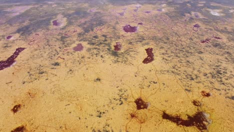 Gallocanta-Lake,-Aragon,-Spain---Aerial-Drone-View-of-the-Endorheic-Salt-Water-Lake-with-Amazing-Structures