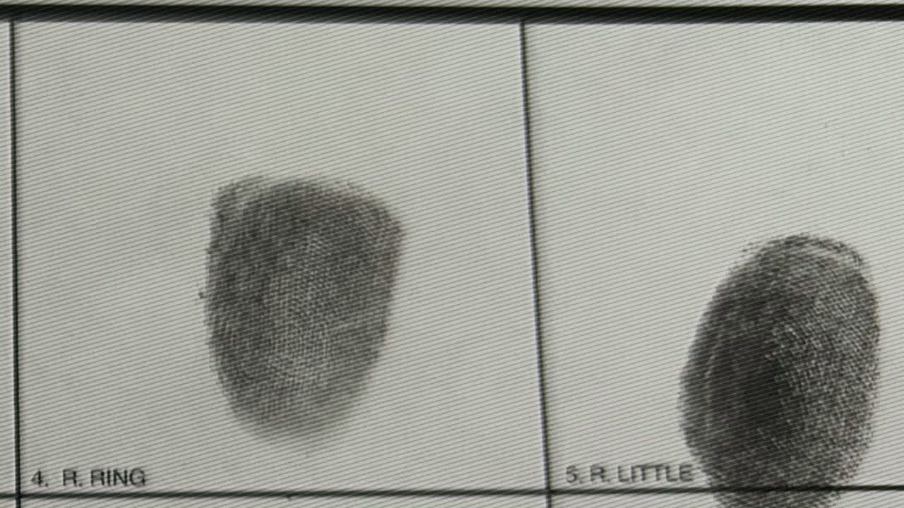 Multiple fingerprint images revealed on monotone database document