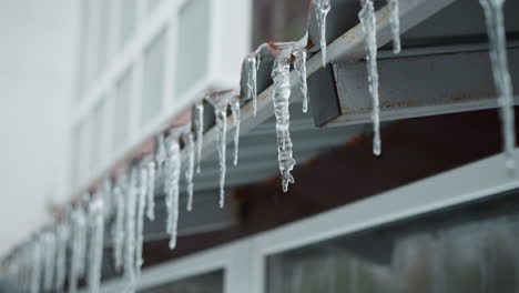 close-up of metal roof edge featuring long icicles slowly melting, with intricate frozen details emphasized against a blurred building background, showcasing winter beauty and thawing process