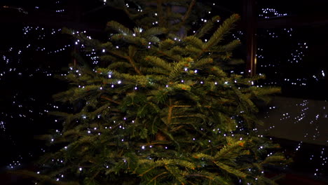 static shot of christmas tree with led string lights reflected in windows on both sides, globe optical illusion