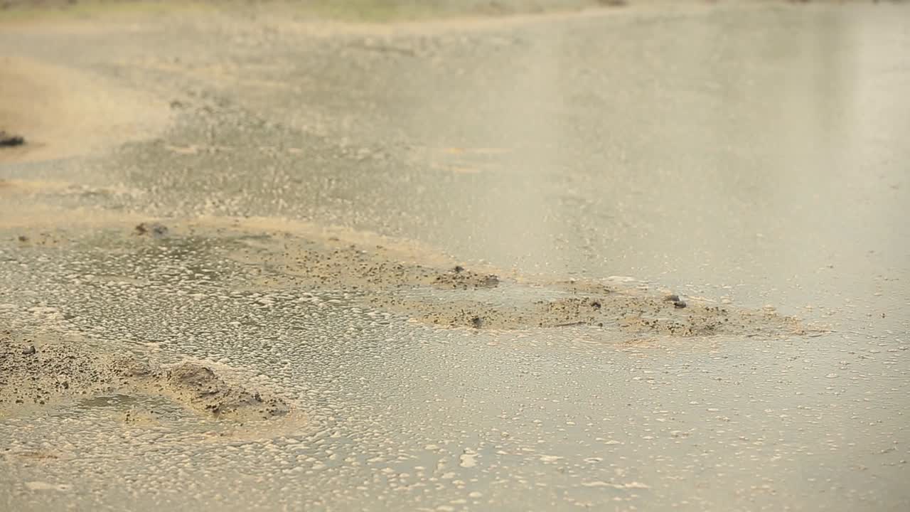 논이 있는 진흙탕 땅