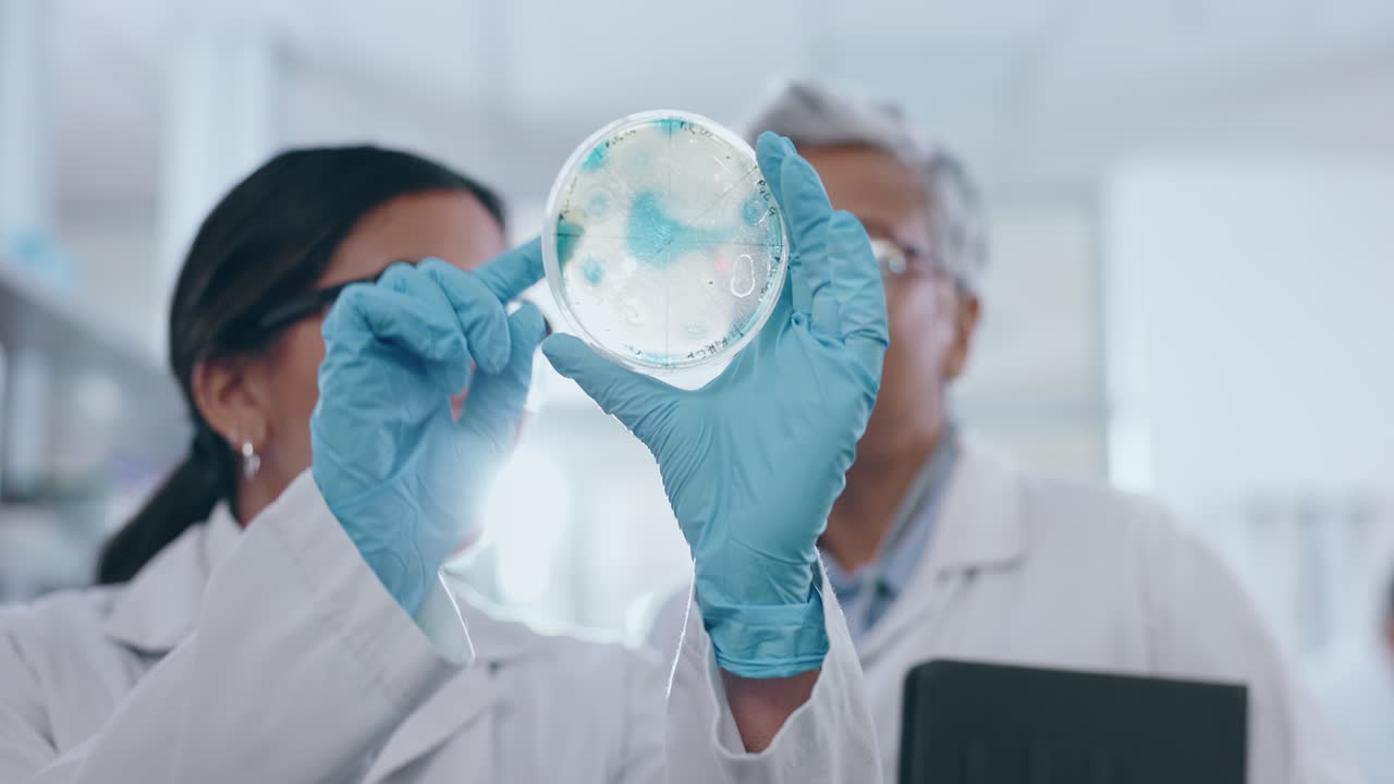 Science, research and professor with scientist