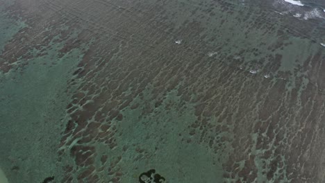 aerial view of a stunning coral reef and ocean waves