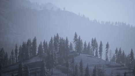 Paisaje-Invernal-En-Las-Montañas-Seménicas