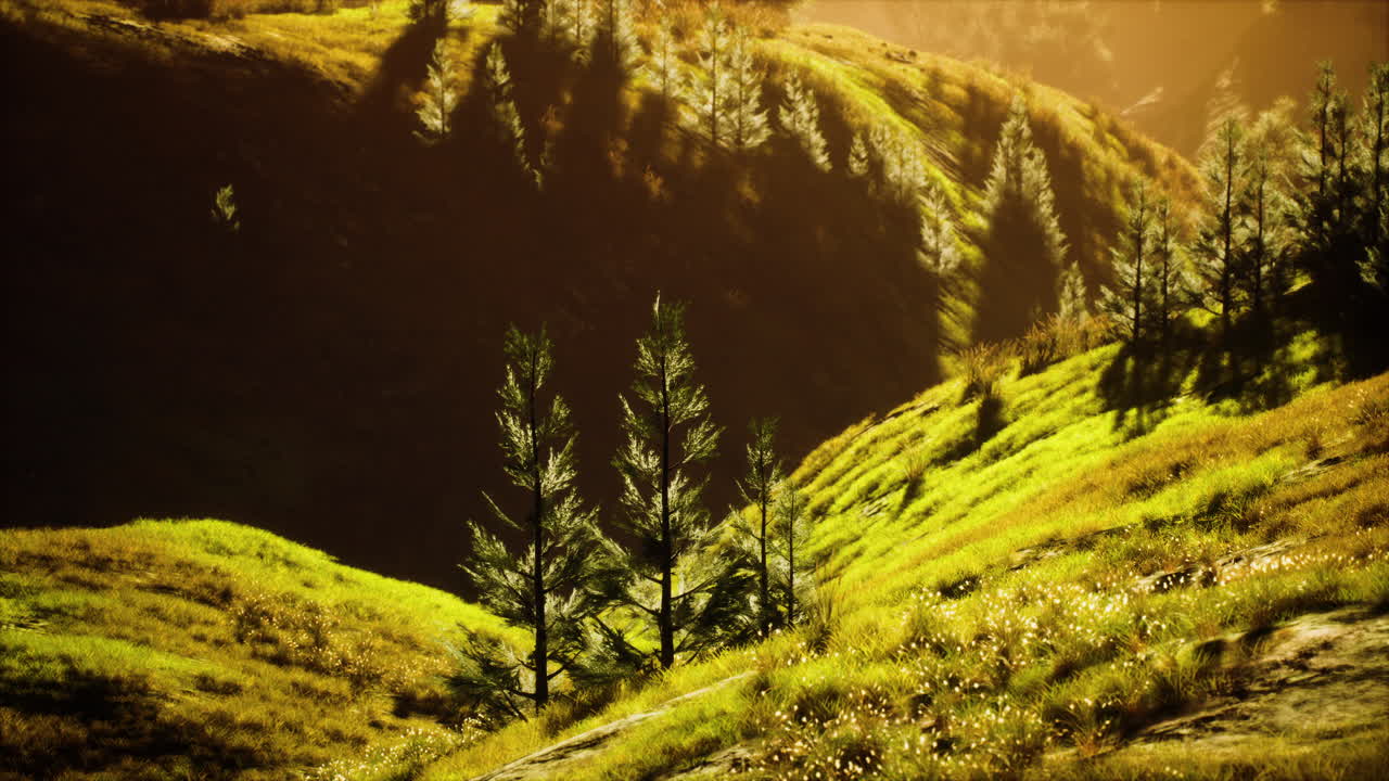 puesta de sol en la montaña con hierba verde y árboles