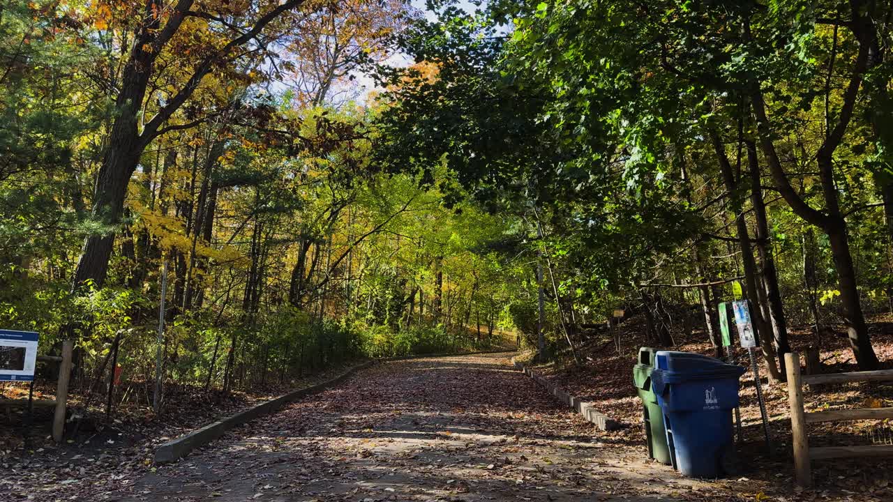 Static forest path view in Toronto High Park with autumn trees, leaves and gentle wind