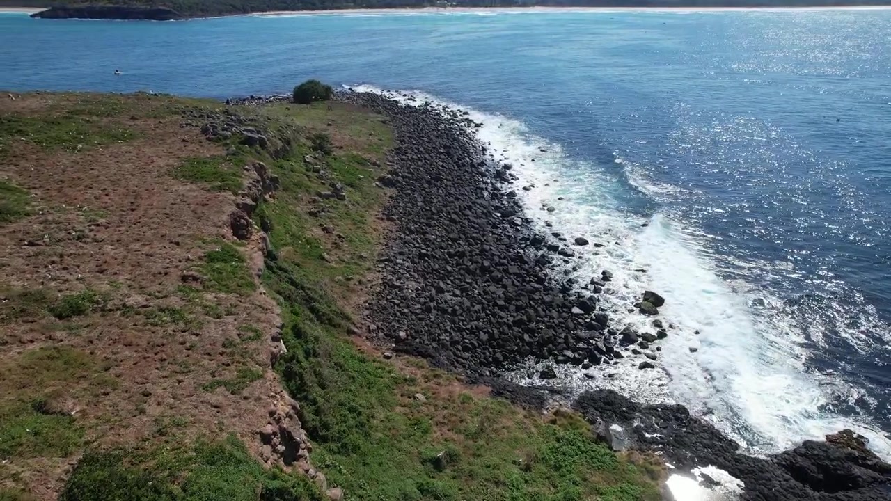 Uccelli marini che volano intorno all'Isola di Cook - Riserva Acquatica dell'Isola di Cook in Australia. - Ripresa aerea.