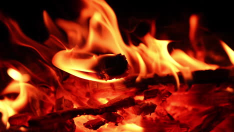 burnt out logs break in the campfire and fall. flames of fire are still burning well in the bonfire. close up.
