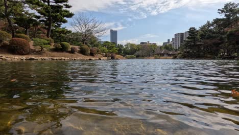 peaceful water view with city and nature blend