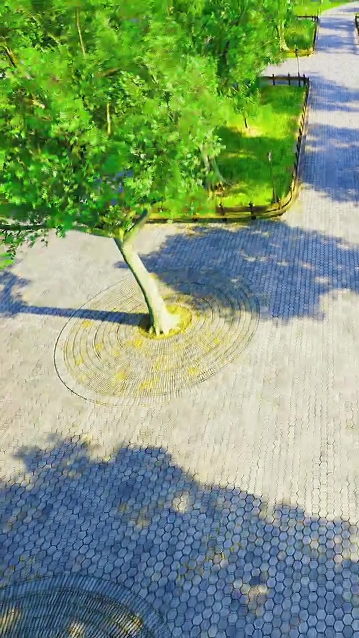 Park path with trees and patterned ground in bright daylight