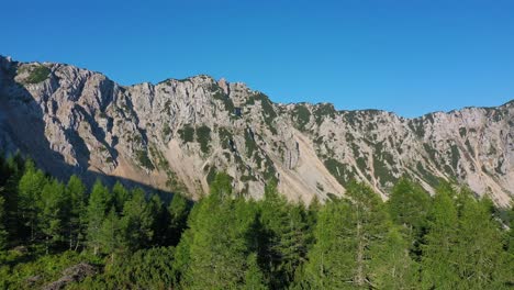 aerial establish shot of petzen mountain from pine forest