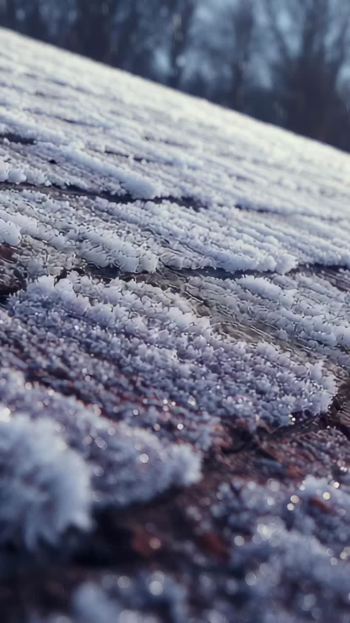 Vertical video: Camera starting closeup panning along frosted wooden roof, revealing ice patterns