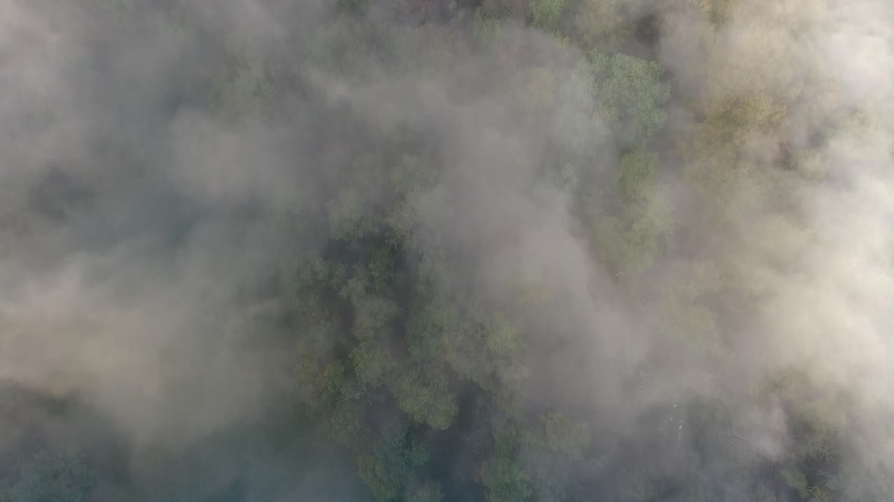 Mystisk luftoptagelse, der flyver over en skyet skov og afslører en klippe i Vercors.
