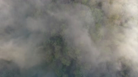 Mystische-Luftaufnahme,-Die-über-Einen-Bewölkten-Wald-Fliegt-Und-Eine-Klippe-In-Vercors-Entdeckt