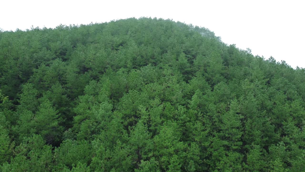 Drone video of Meghalaya's natural beauty.