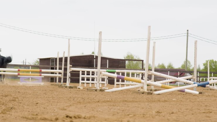 Jockey Riding Black Horse Who Is Jumping Obstacles