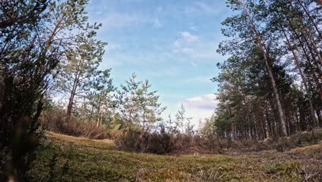 Timelapse-video-capturing-the-rapid-movement-of-dark-rain-clouds-across-the-sky