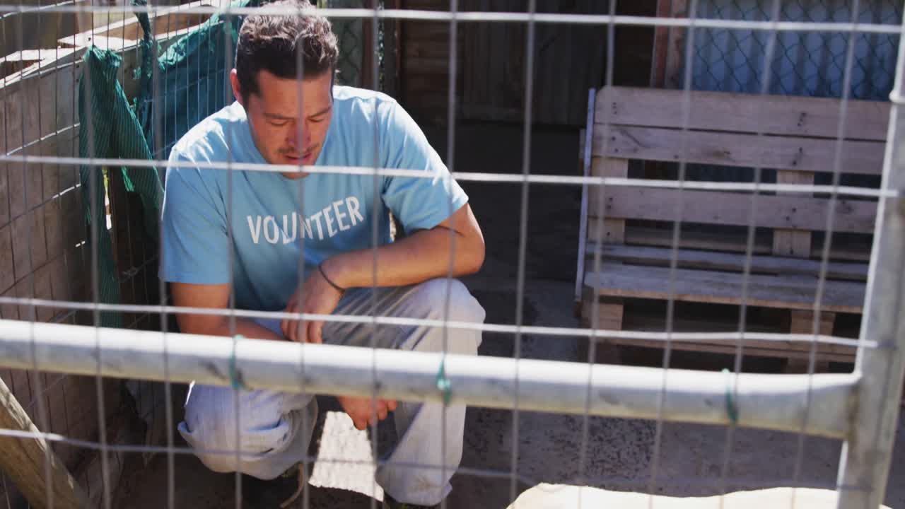 perro en un refugio con un voluntario