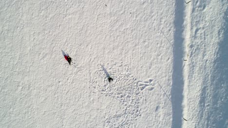 Family-playing-in-the-snow