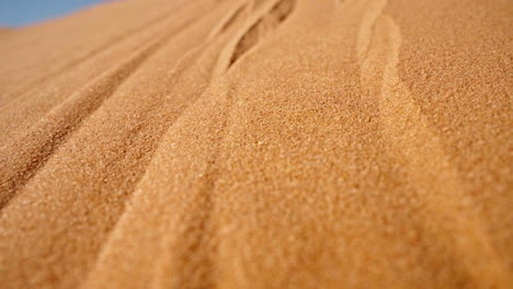 Golden-sand-dunes-with-intricate-patterns-under-a-clear-blue-sky