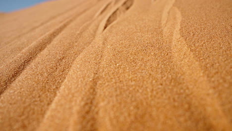 dunas de arena doradas con patrones intrincados bajo un cielo azul claro