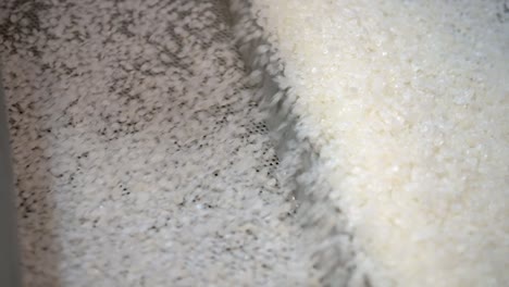 transportador vibratorio. gránulos de plástico blanco se mueven bajo la influencia de la vibración