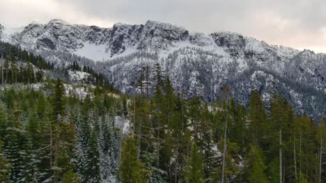 Aerial-view-of-Trees-on-Mountainside-with-Snowy-Mountains-in-the-Background