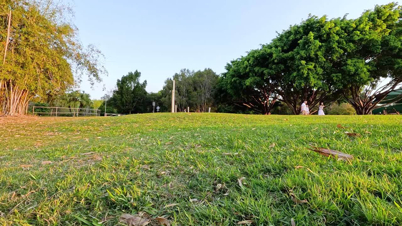 나무 와 풀 이 있는 조용 한 공원 장면