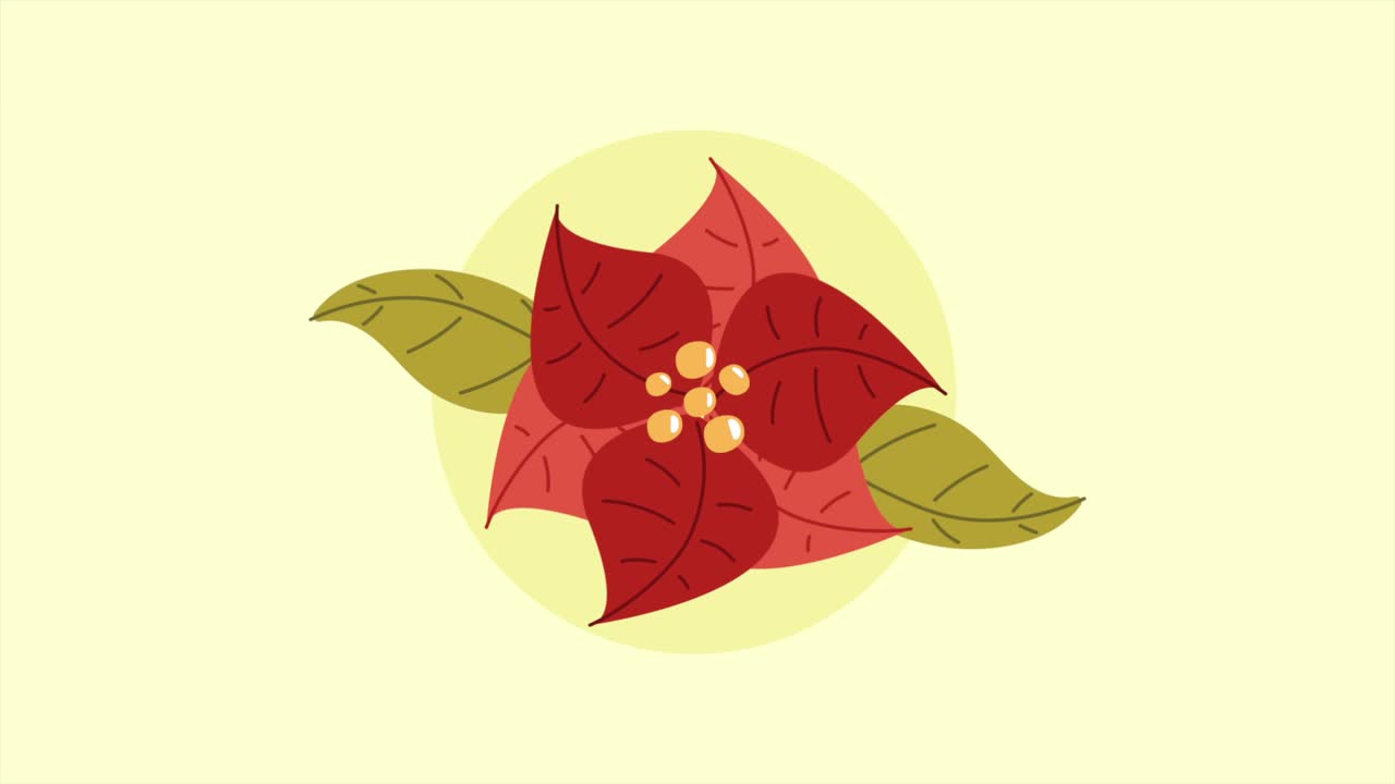 Illustrazione di Stella di Natale