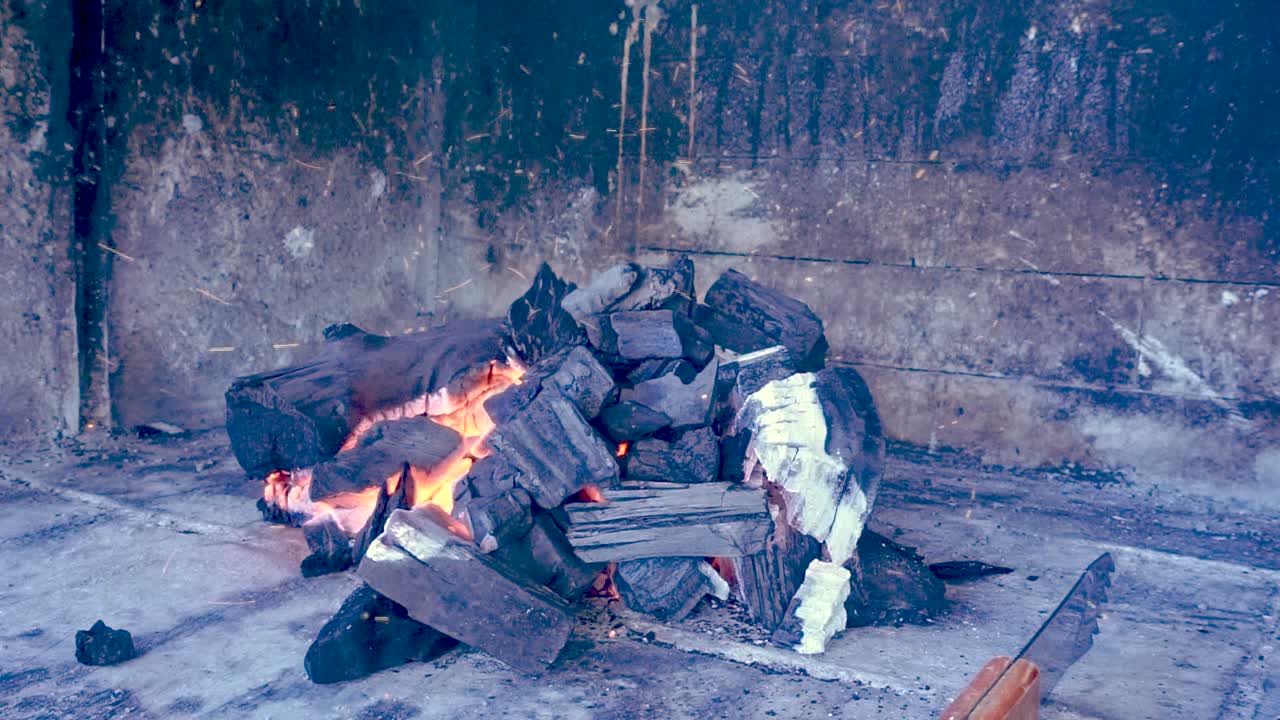 근접 촬영, 시골 벽난로에서 공기를 불어넣어 고기를 고 여름 시즌에 가족 재결합을 위해 식사를 요리하는 과정 [hd1920 x 1080] fps 29