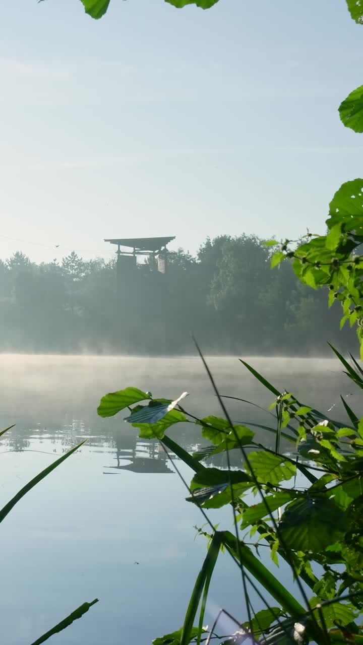 호수 근처의 안개가 가득한 아침