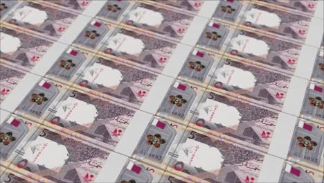 5-Katar-Riyal-Banknoten,-Gedruckt-Von-Einer-Geldpresse