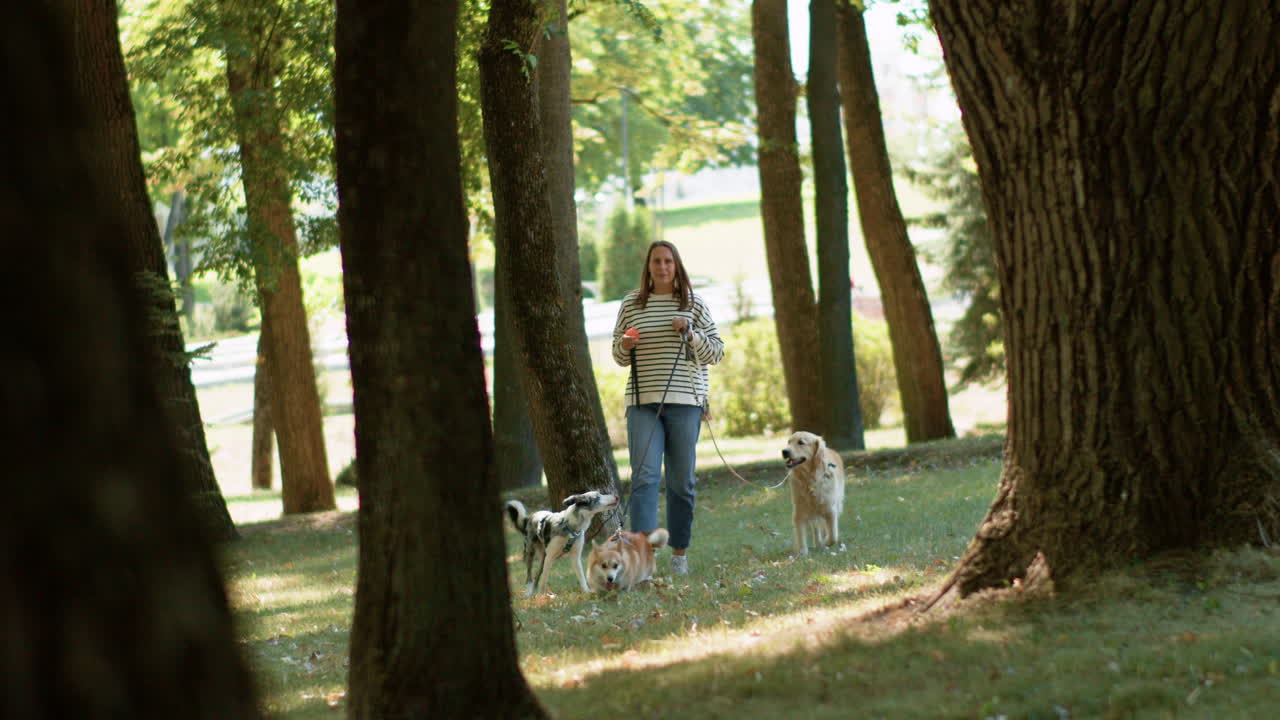 mujer joven con mascotas en el parque