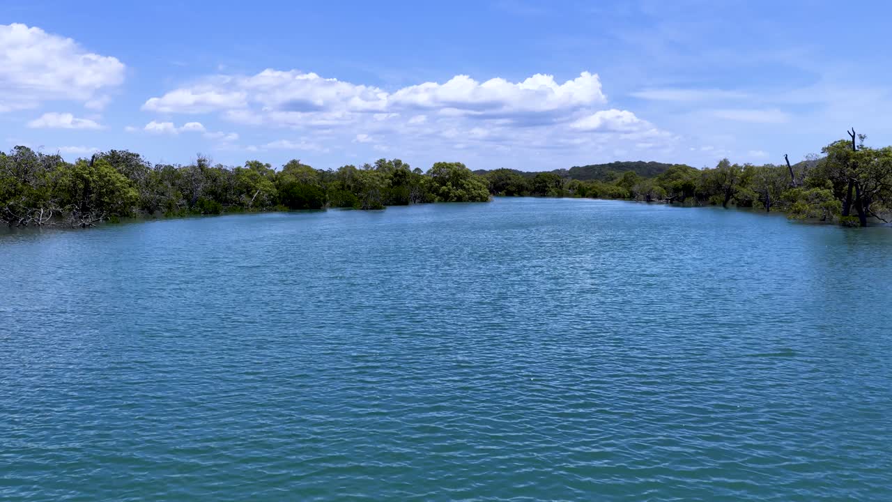 Volo a bassa quota di un drone sopra un tranquillo estuario tropicale circondato da lussureggianti mangrovie verdi