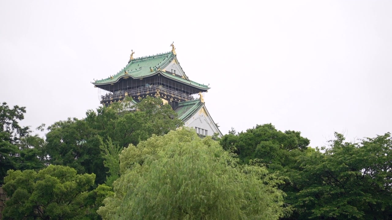 Ampia inquadratura da lontano che mostra alberi che dominano il primo piano, con la cima del Castello di Osaka visibile sopra le cime degli alberi. Il cielo rimane nuvoloso, creando una scena tranquilla ma distante