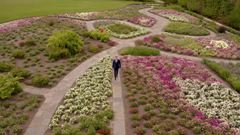 a man walks through a vibrant flower garden