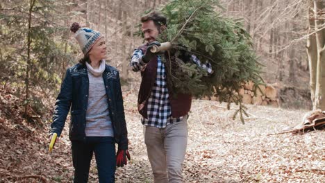 Padre-E-Hijo-Cargando-Un-árbol-De-Navidad-Grande-Y-Pesado